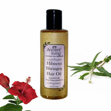 https://cdn.shopify.com/s/files/1/1857/6931/files/p2vgO6WxFA-740292.jpg?v=1736147457